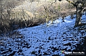 VBS_0819 - Corneliano d'Alba